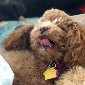 Meet your Posher, Amberlyn